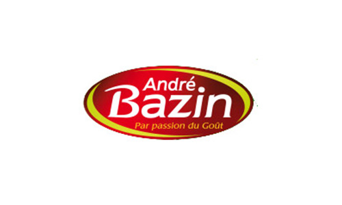 Bazin